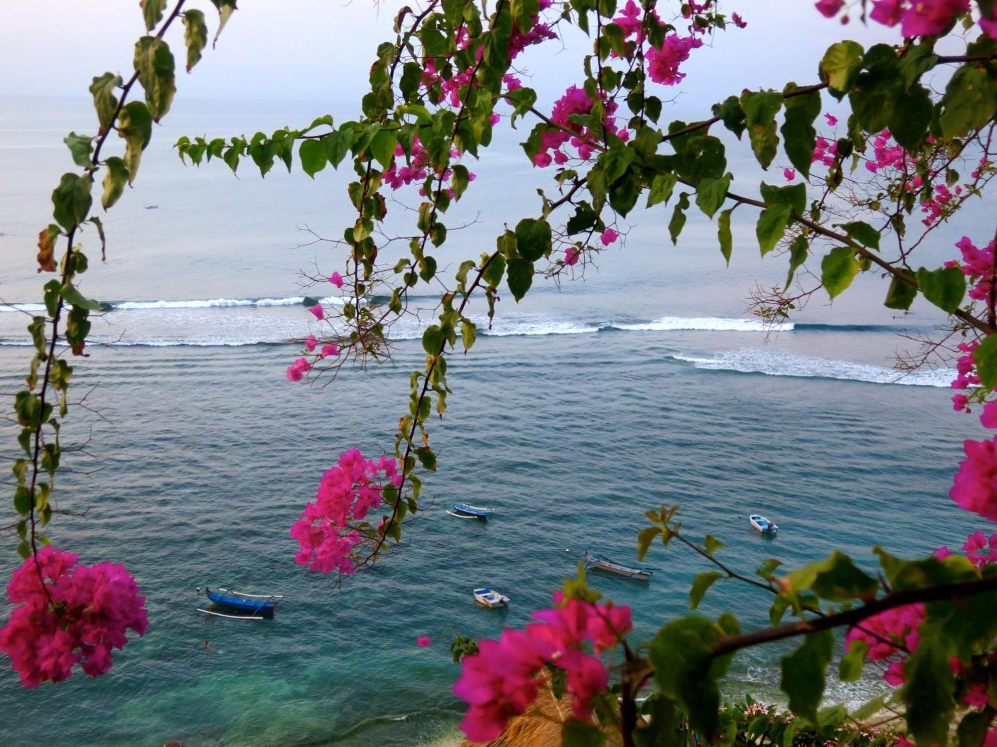 Acacia Bungalows Bingin Uluwatu Kültér fotó